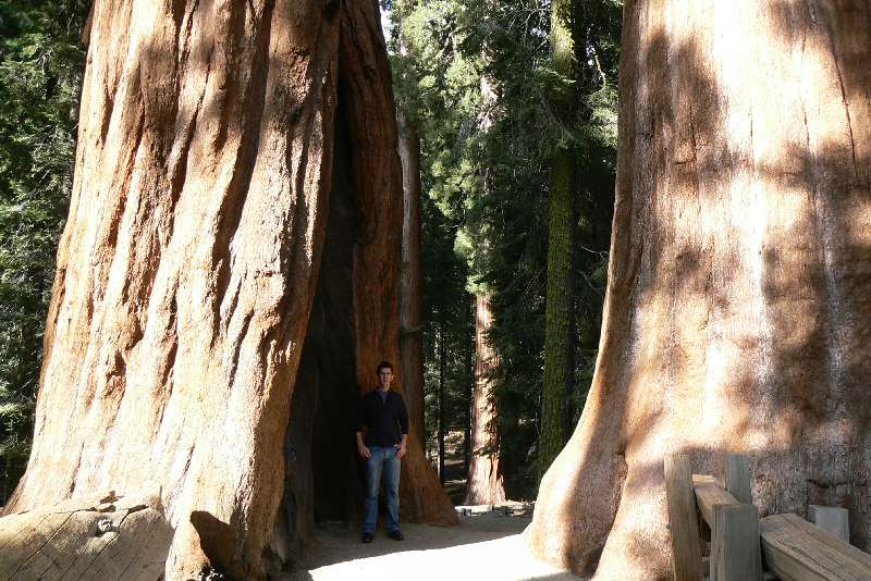 28 Sequoia National Park